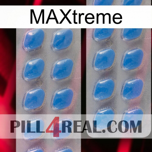 Maxtreme 23.jpg